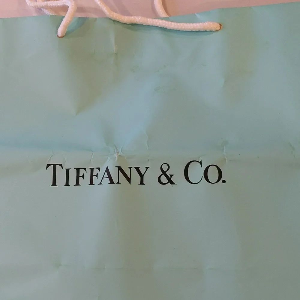 Authentic Tiffany & Co. Gift bag Tiffany Blue